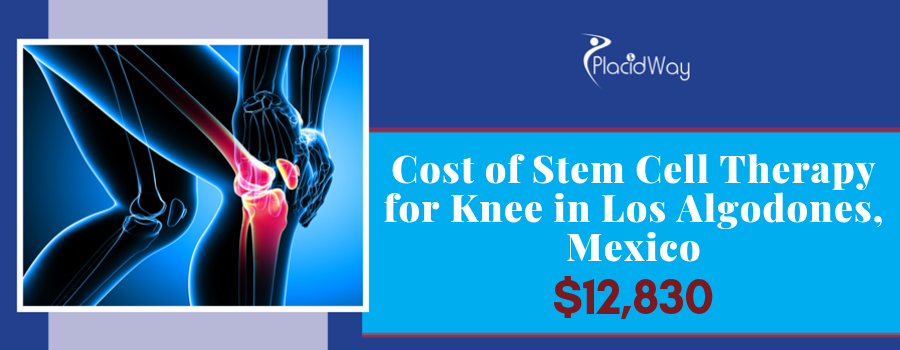 Stem Cell Therapy for Knees in Mexico